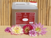 Ayurveda Massageöl Shaolin 3 Liter